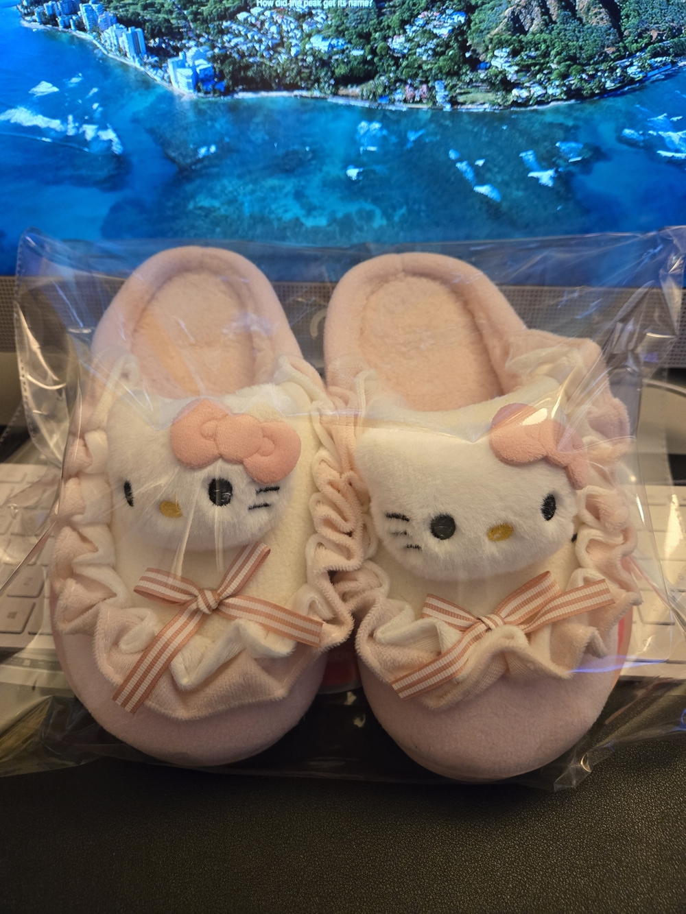 Hello Kitty Pink Plush Slippers In Size 8W - Picture 2 of 3